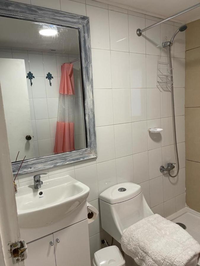 Apart Hotel Don Domingo เตมูโก ภายนอก รูปภาพ