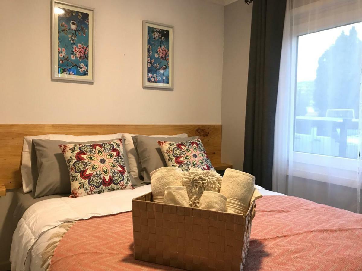 Apart Hotel Don Domingo เตมูโก ภายนอก รูปภาพ
