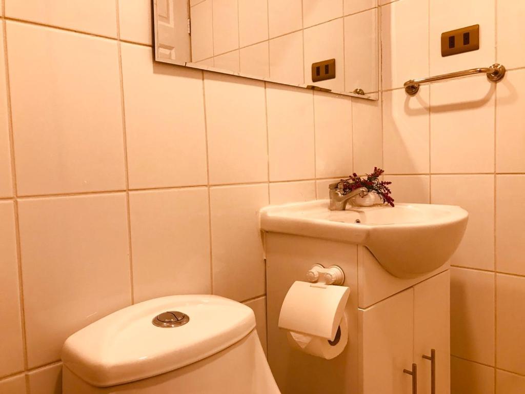 Apart Hotel Don Domingo เตมูโก ภายนอก รูปภาพ